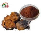 Chaga Mushroom Extract Powder 20% - 30% Polysaccharides For Cosmetics