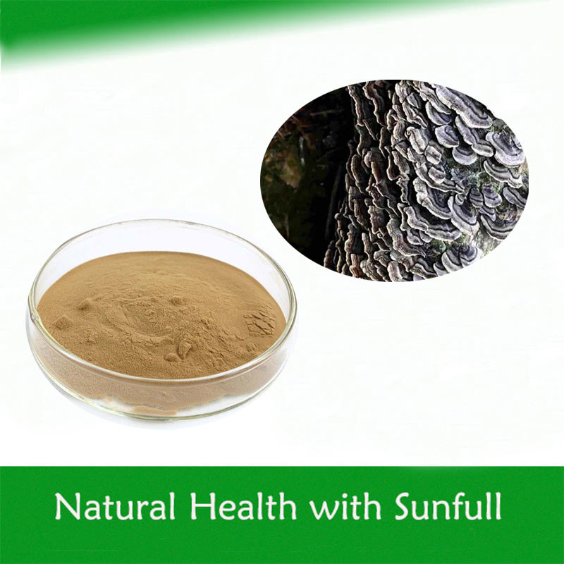 Coriolus Versicolor Extract 10%~50% Polysacchrides PSK PSP Turkey tail สารสกัดจากเห็ด