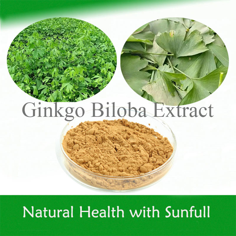 Ginkgo Biloba PE 24% ภาพรวมของฟลาวอน 6% เทอร์เพน เลคโตน 5ppm สําหรับสุขภาพหัวใจ
