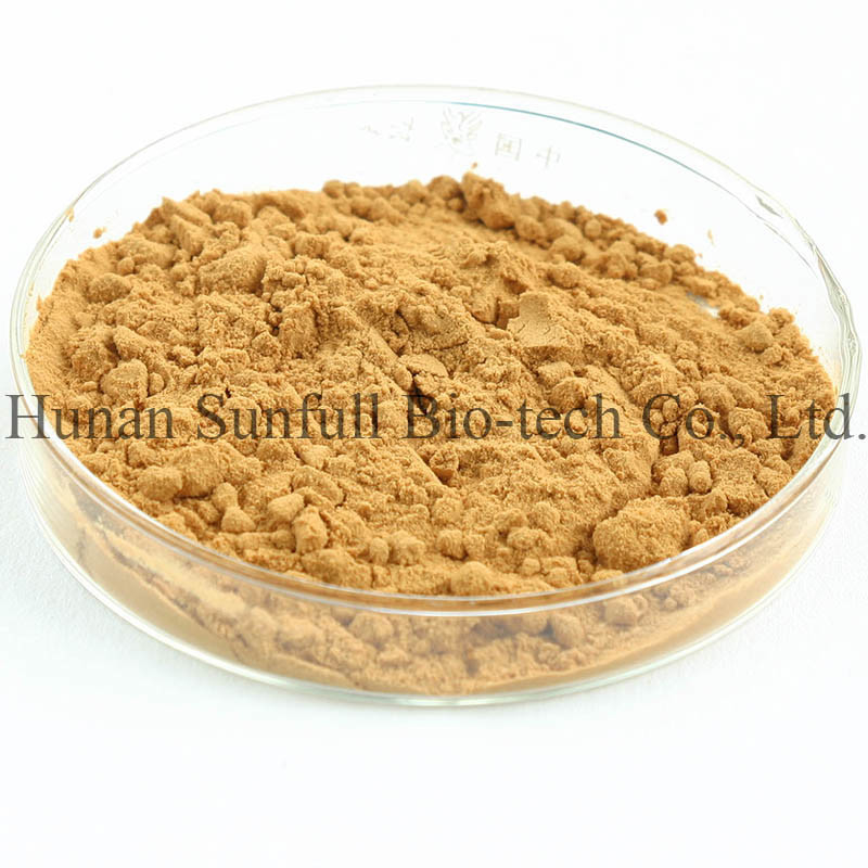 สารสกัดจากหมึกนมธรรมชาติ 100% สับจากเมล็ด Silybum Marianum สําหรับการเติบโตของเซลล์ตับ