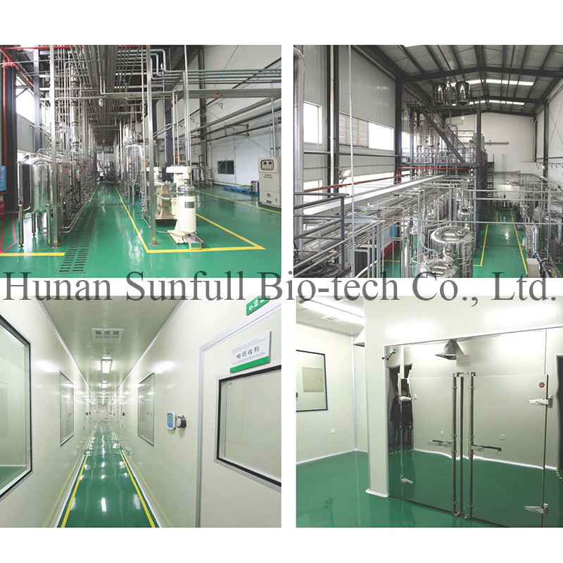 สารสกัดจากใบกิ่งโก้ บิลอบา 24/6 CAS 90045-36-6 Cp USP561 Ep EC396
