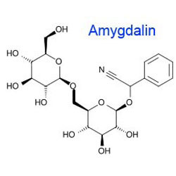 Amygdalin ของธรรมชาติ 98% ขาวคริสตัล ขนาดผง แมดมอนด์เค็ม แมดมอนด์เค็ม สารสกัดเมล็ดเมล็ดเมล็ดเมล็ดเมล็ดเมล็ดเมล็ดเมล็ดเมล็ดเมล็ดเมล็ดเมล็ดเมล็ดเมล็ดเมล็ดเมล็ดเมล็ดเมล็ดเมล็ดเมล็ดเมล็ดเมล็ดเมล็ดเมล็ดเมล็ดเมล็ดเมล็ดเมล็ดเมล็ดเมล็ดเมล็ดเมล็ดเมล็ดเมล็ดเมล็ดเมล็ดเมล็ดเมล็ดเมล็ดเมล็ดเมล็ดเมล็ดเมล็ดเมล็ดเมล็ดเมล็ดเมล็ดเมล็ดเมล็ดเมล็ดเมล็ดเมล็ดเมล็ดเมล็ดเมล็ดเมล็ดเมล็ดเมล็ดเมล็ดเมล็ดเมล็ดเมล็ดเมล็ดเมล็ดเมล็ดเมล็ดเมล็ดเมล็ดเมล็ดเมล็ดเมล็ดเมล็ดเม