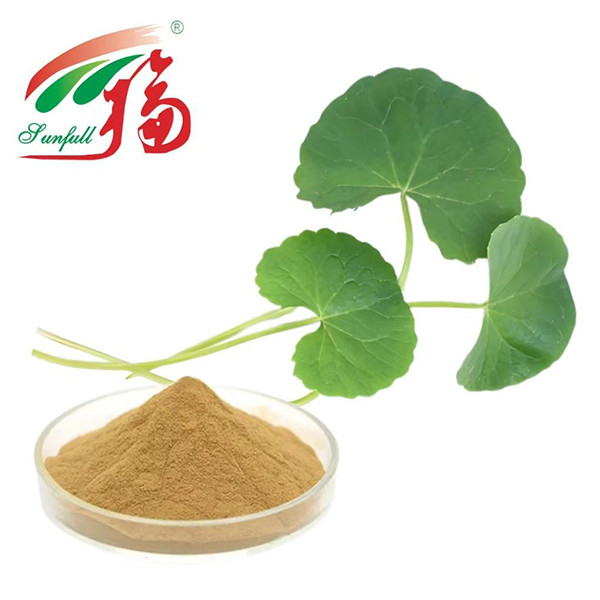 โรงงานเครื่องสําอาง Gotu Kola Extract สกัดเอเชียติโกไซด์ 80% เพื่อดูแลผิวหนัง ซ่อมแซมอุปสรรคและป้องกันการระคายเคือง