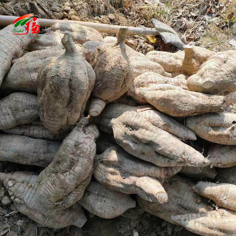สารสกัดจากรากคุดซูธรรมชาติจากโรงงานจีน Puerarin 25% 60% 98% สำหรับตัวเลือก