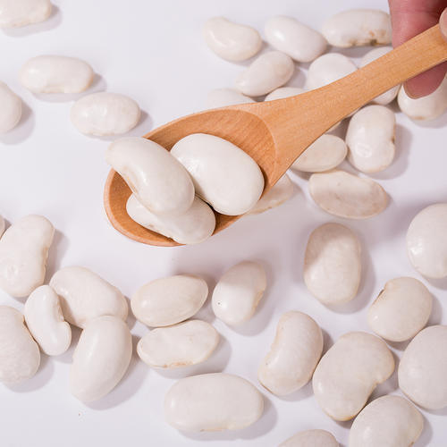 สารสกัดจากถั่วไตสีขาว (Phaseolus Vulgaris) - เป็นสารยับยั้ง α-Amylase ความบริสุทธิ์สูง สําหรับการควบคุมน้ําหนักและน้ําตาลในเลือด