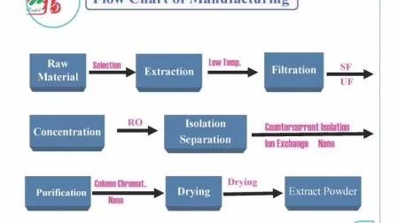 ผงสกัดจากถั่งเช่า 10% โพลีแซ็กคาไรด์ ใช้เป็นเสมหะในผงสีเหลืองน้ำตาลละเอียดสำหรับใช้ในอาหาร