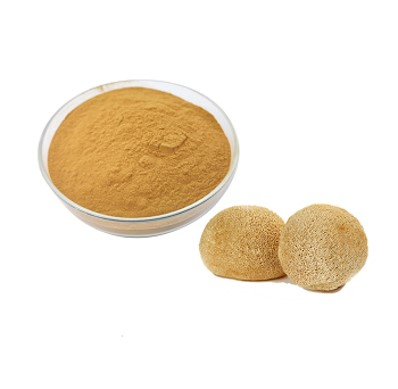Hericium Erinaceus Extract Powder 40% โพลิสาคาริดสําหรับการรักษาโรคกระเพาะอาหารและป้องกันตับในอาหารที่มีประโยชน์