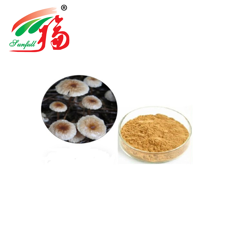 ผงสกัด Marasmius Androsaceus คุณภาพสูง ขนาด 80 เมช อายุการเก็บรักษา 2 ปี และกำลังการผลิต 20 ตัน/ปี