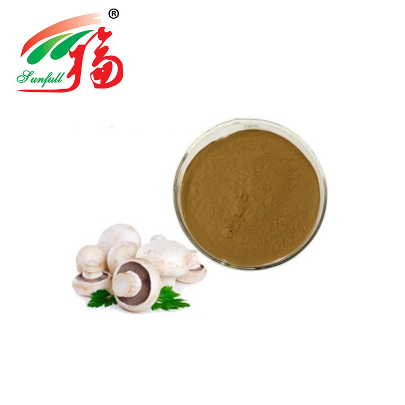 Agaricus Bisporus Extract Powder with 50% Polysaccharides Fine Brown Yellow Powder for Blood Pressure Reduction