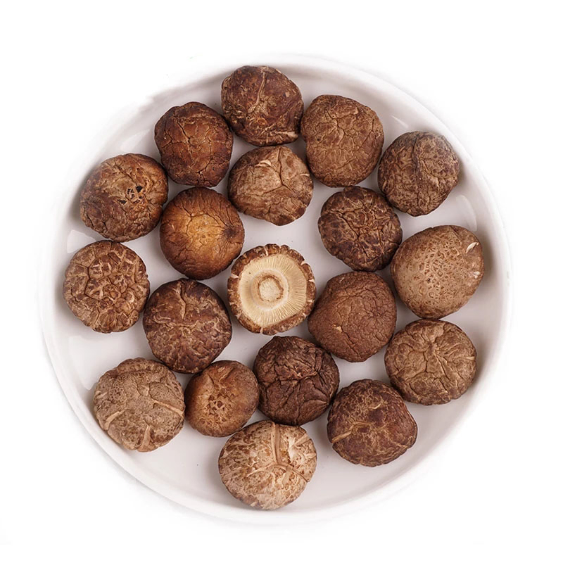 Reishi Mushroom Extract 50% Polysaccharides Fine Brown Yellow Powder for Enhancing Immunity and Liver Protection