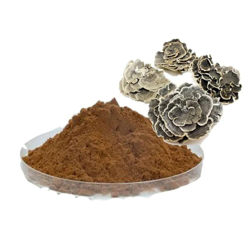 Coriolus Versicolor Extract 20% โพลิสาคาริดสําหรับอาหารที่มีประสิทธิภาพที่มีการกําหนดน้ําตาลในเลือดและลดน้ําหมาก