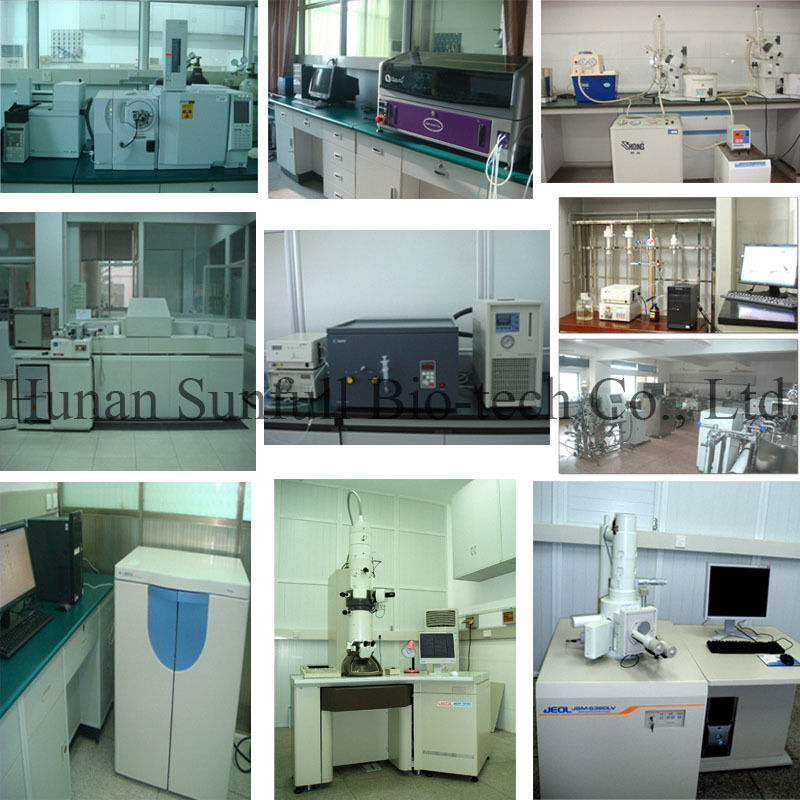 Berberine Hydrochloride 97% 98% สีเหลือง ขนาดผงกระจกที่มีคุณสมบัติต่อต้านแบคทีเรียและต่อต้านการอักเสบ จาก Phellodendron chinense Extract