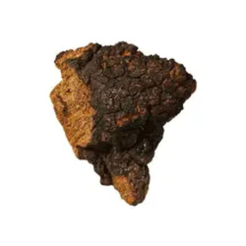 Chaga Extract 50% Polysaccharides สําหรับอาหารที่มีประโยชน์เพื่อเสริมภูมิคุ้มกัน