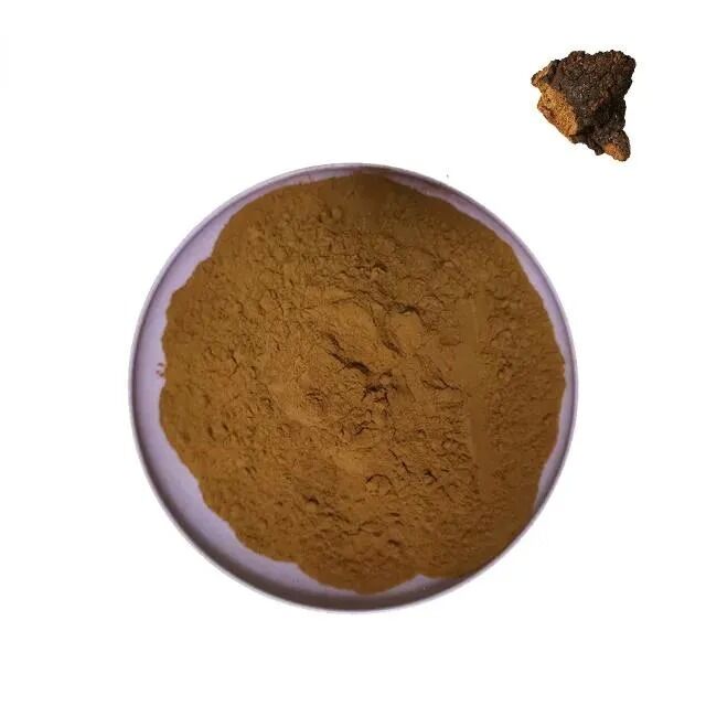 Chaga Extract 50% Polysaccharides สําหรับอาหารที่มีประโยชน์เพื่อเสริมภูมิคุ้มกัน