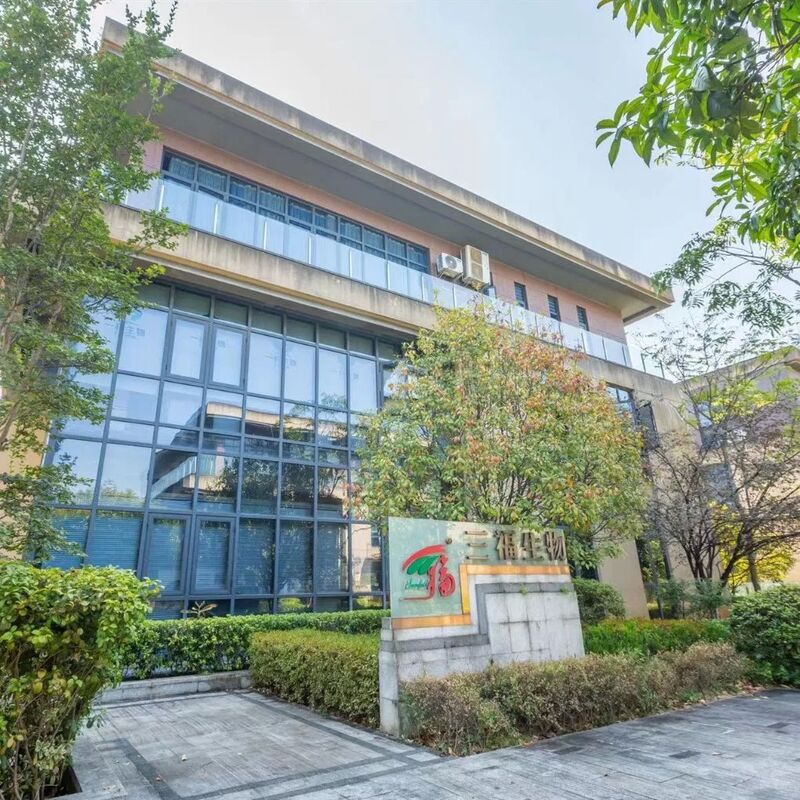 สารสกัดจากเห็ดหอย ขนาดผงที่มีโพลิสาคาริด 10% สําหรับอาหารที่มีประโยชน์ ในรูปของผงสีเหลืองสีน้ําตาล