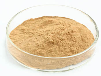 ผงสกัดเห็ดนางรมที่มีโพลีแซ็กคาไรด์ 50% เพื่อประโยชน์ในอาหารเชิงหน้าที่และคุณสมบัติต้านมะเร็ง