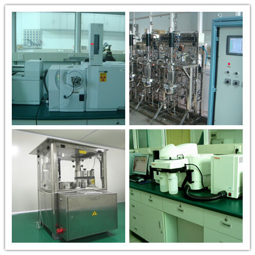 สารสกัดจากเห็ดไชทาเกะคุณภาพสูง 50% ผงเหลืองสีน้ําตาลเลนตินาน สําหรับอาหารและยา