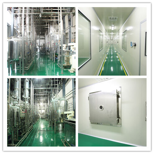 สารสกัดจากเห็ดไชทาเกะคุณภาพสูง 50% ผงเหลืองสีน้ําตาลเลนตินาน สําหรับอาหารและยา