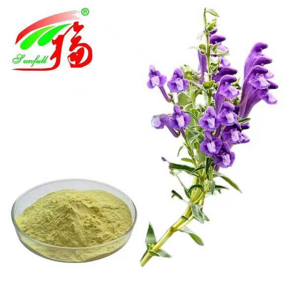 สารสกัดการดูแลสุขภาพ 10% ~ 95% Baicalin Baicalein Powder Scutellaria baicalensis Georgi สารสกัด Radix Scutellariae สารสกัด Baikal Skullcap Extract