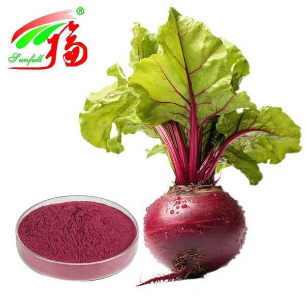 สารสกัดจากรากเบท 1%-25% เบตานิน สารสกัดจากเบทเบท Beta Vulgaris L. สินค้ารักษาสุขภาพ