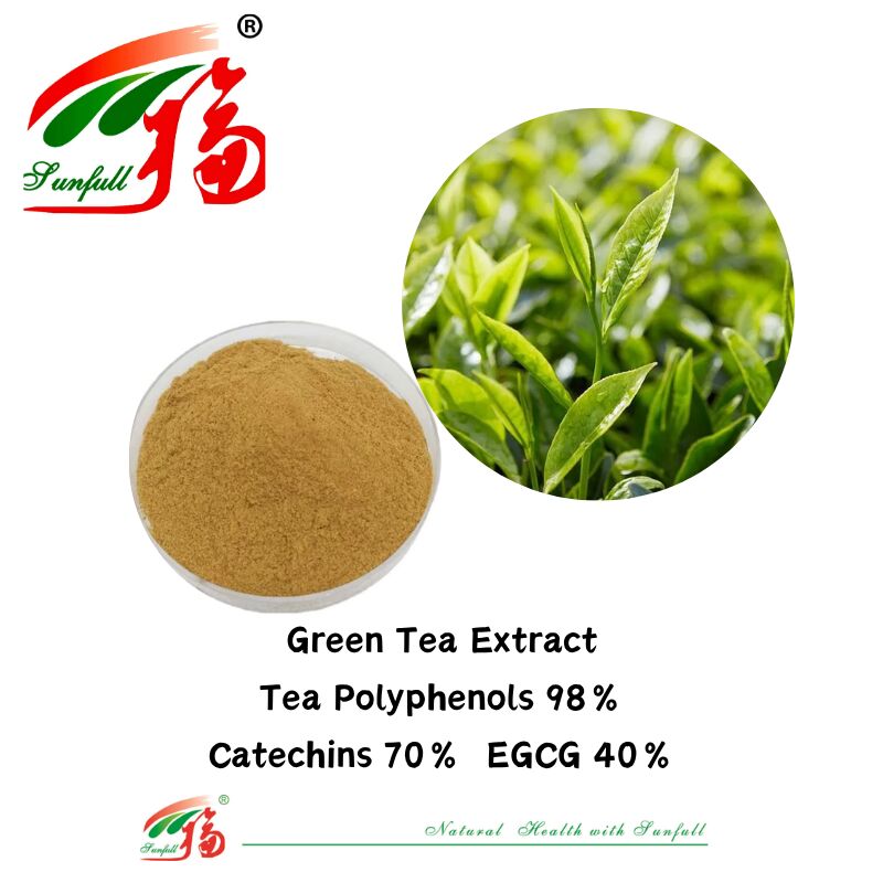 หูหนาน Sunfull ส่วนผสมสมุนไพรอินทรีย์ Theaflavins 10 ~ 40% EGCG 40% Catechins 70% ชาโพลีฟีนอล 98% สารสกัดจากชาเขียว