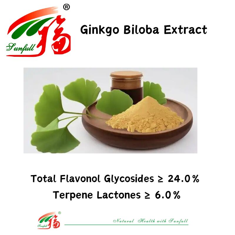 น้ำธรรมชาติ 100% ละลายน้ำได้ 24% Ginkgolides Ginkgo Biloba Leaf Extract Powder สำหรับผลิตภัณฑ์เสริมอาหาร