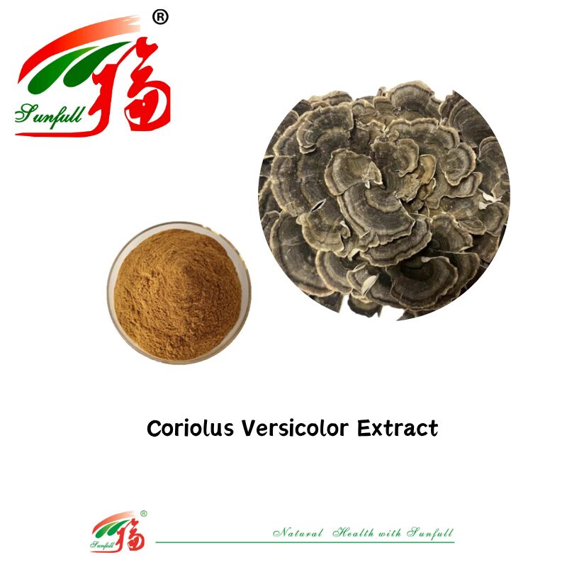 Hunan Sunfull อาหารเสริม Agaricus Subrufescens/Hericium Erinaceus/Antrodia/Cordyceps Sinensis/Coriolus Versicolor/ผงสกัดขี้ผง