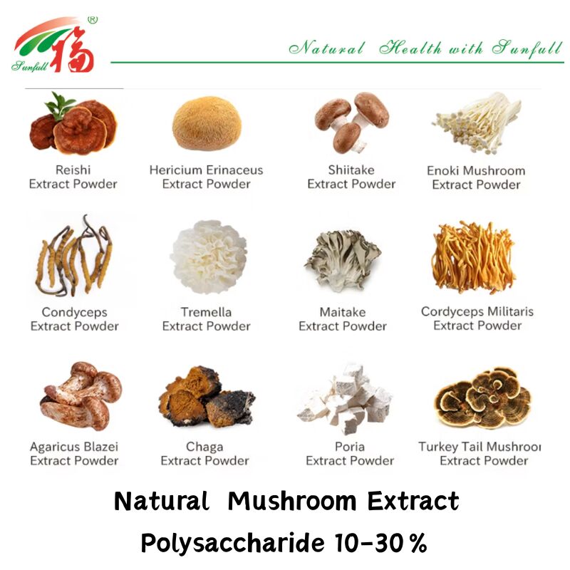 สารประกอบธรรมชาติ อินทรีย์ อาหารเสริม โพลิสาคาริด 10-30% Phellinus Igniarius /Ganoderma Lucidum/Chaga/Maitake / Shiitake Mushroom Extract Powder