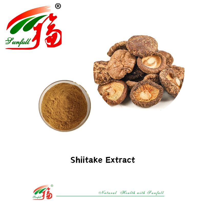 สารประกอบธรรมชาติ อินทรีย์ อาหารเสริม โพลิสาคาริด 10-30% Phellinus Igniarius /Ganoderma Lucidum/Chaga/Maitake / Shiitake Mushroom Extract Powder
