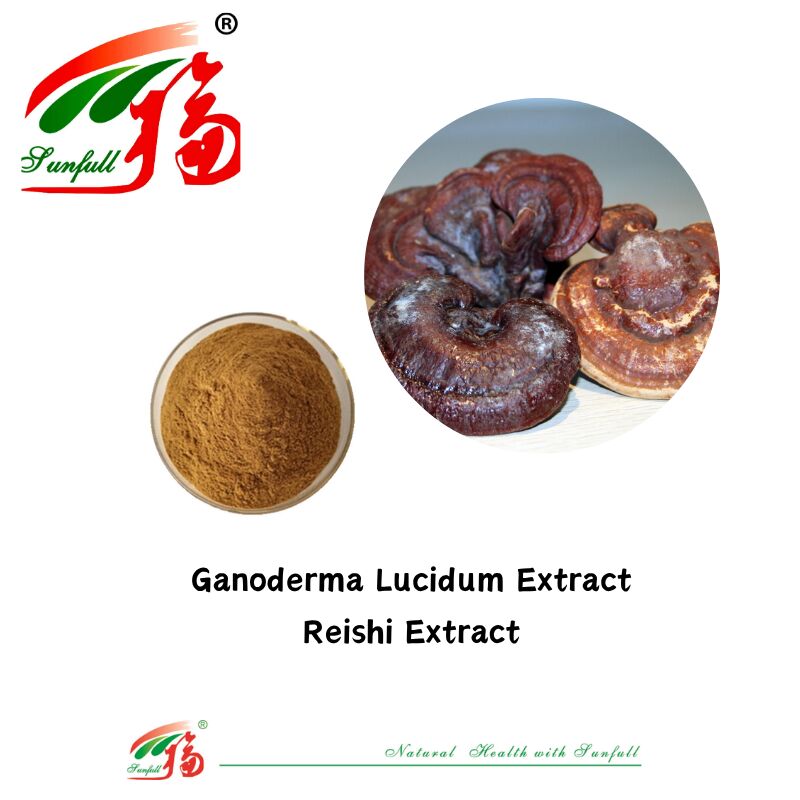 สารประกอบธรรมชาติ อินทรีย์ อาหารเสริม โพลิสาคาริด 10-30% Phellinus Igniarius /Ganoderma Lucidum/Chaga/Maitake / Shiitake Mushroom Extract Powder