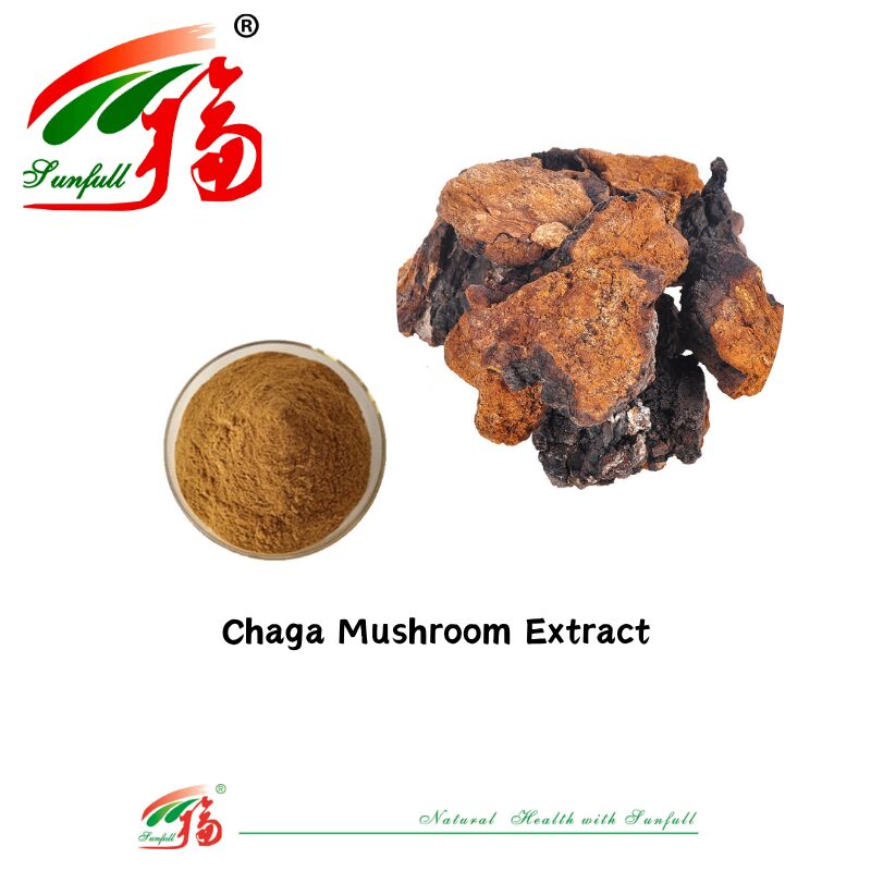 สารประกอบธรรมชาติ อินทรีย์ อาหารเสริม โพลิสาคาริด 10-30% Phellinus Igniarius /Ganoderma Lucidum/Chaga/Maitake / Shiitake Mushroom Extract Powder