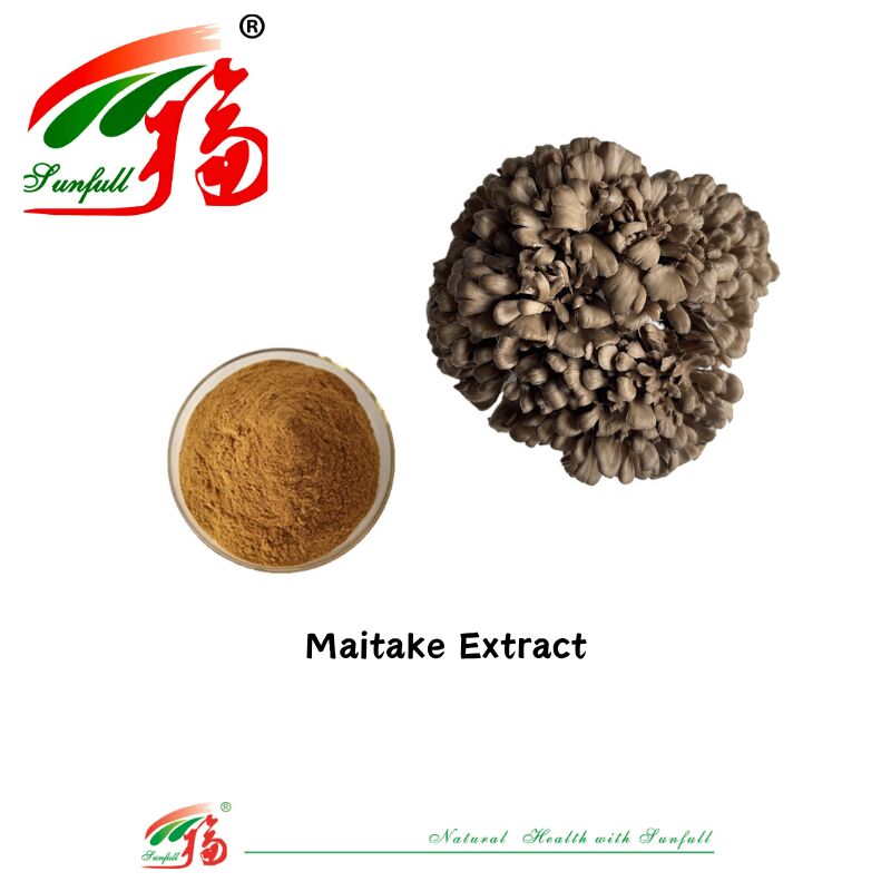 สารประกอบธรรมชาติ อินทรีย์ อาหารเสริม โพลิสาคาริด 10-30% Phellinus Igniarius /Ganoderma Lucidum/Chaga/Maitake / Shiitake Mushroom Extract Powder