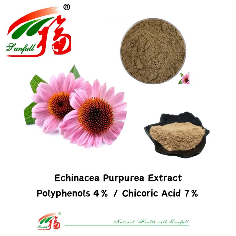 สมุนไพรอินทรีย์พืชอาหารเสริมโพลีฟีนอล 7% Cichoric Acid 4% ผง Echinacea Purpurea Extract