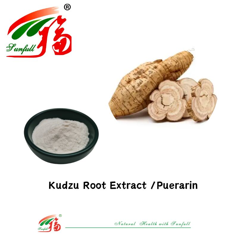 ตัวอย่างฟรี สารสกัดจากรากกุหลาบคูดซูคุณภาพดี สารสกัดจาก Pueraria Lobata สารสกัดจาก Puerarin 10% - 98% CAS 3681-99-0