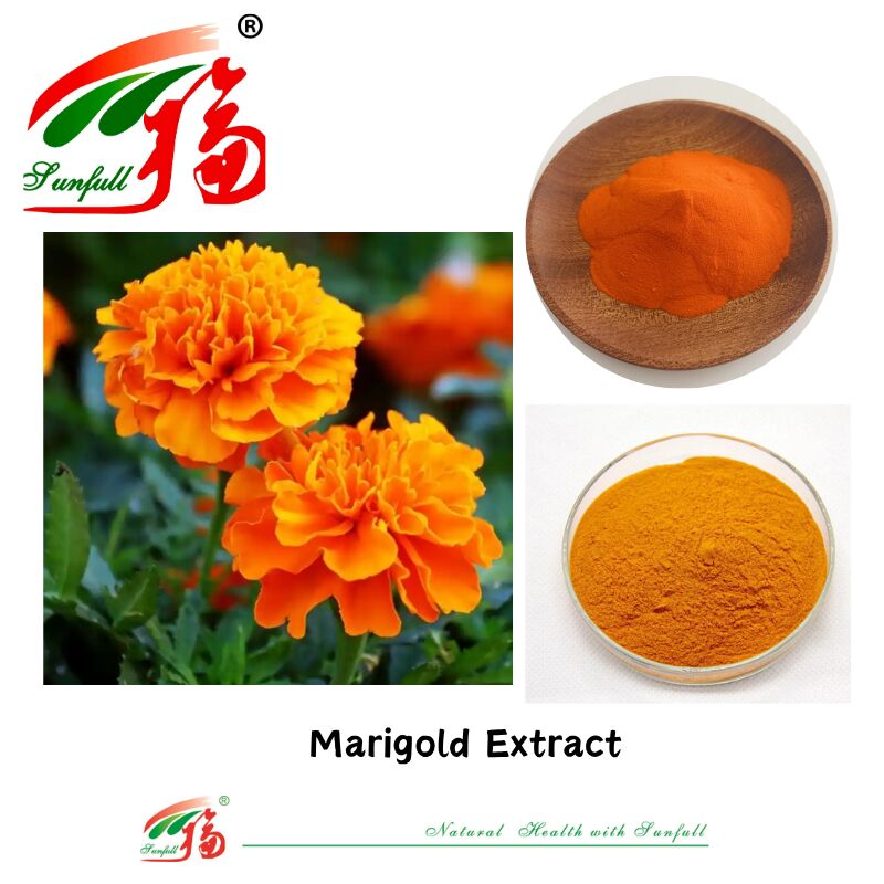 สารประกอบธรรมชาติ ตา สุขภาพ อาหาร เกรด Zeaxanthin 5% โหลดในน้ํา Lutein 5% HPLC สารสกัดดอกมะพร้าว