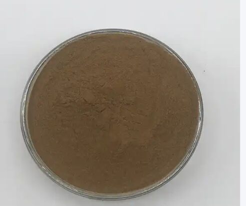 ISO/Kosher ส่งเสริมการย่อยอาหาร เกรดอาหาร สารสกัดจากเมล็ด Cassia 10: 1 / 20% HPLC Sennosides Senna Leaf Extract
