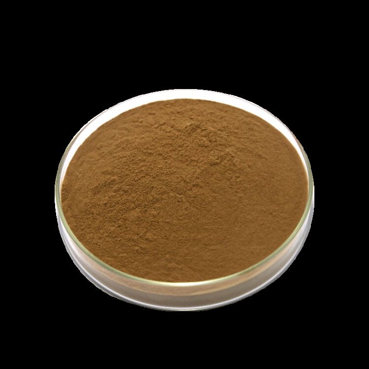 ISO/Kosher ส่งเสริมการย่อยอาหาร เกรดอาหาร สารสกัดจากเมล็ด Cassia 10: 1 / 20% HPLC Sennosides Senna Leaf Extract