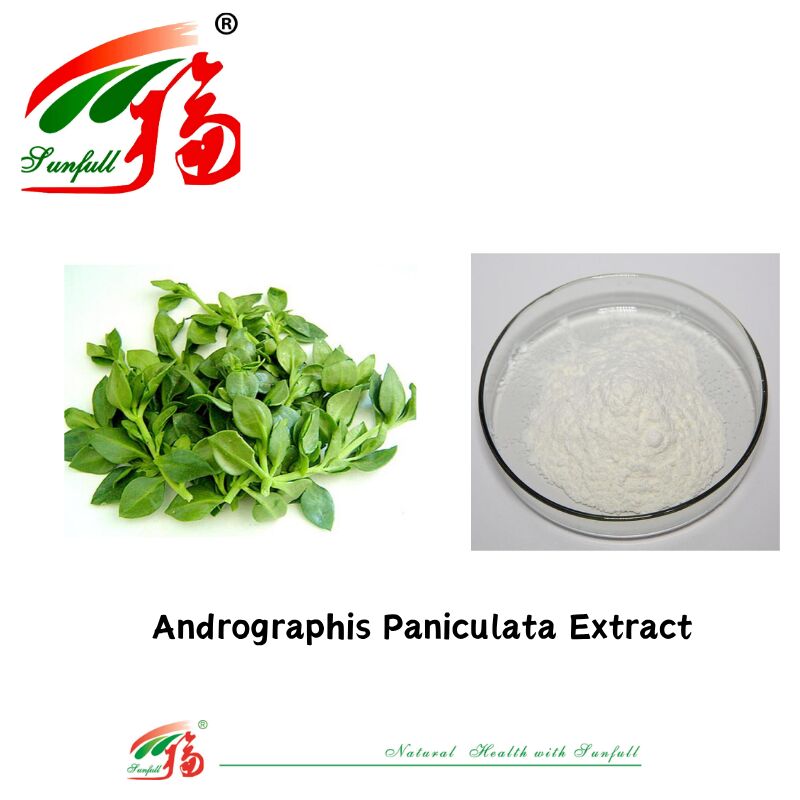 ราคาดีที่สุด สารเสริมอาหารธรรมชาติ สารเสริมอาหารธรรมชาติ 95% Andrographis Paniculata Extract CAS No 5508-58-7