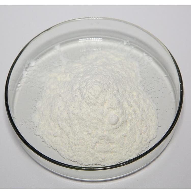 ราคาดีที่สุด สารเสริมอาหารธรรมชาติ สารเสริมอาหารธรรมชาติ 95% Andrographis Paniculata Extract CAS No 5508-58-7