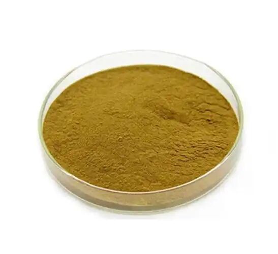 สินค้าอาหาร / อาหาร อาหารเสริม Eucommia Ulmoides Extract/ Green Coffee Bean Extract กรด Chlorogenic 5%-98%