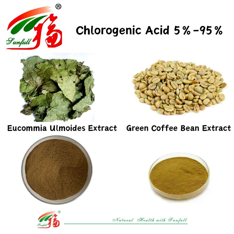 สินค้าอาหาร / อาหาร อาหารเสริม Eucommia Ulmoides Extract/ Green Coffee Bean Extract กรด Chlorogenic 5%-98%