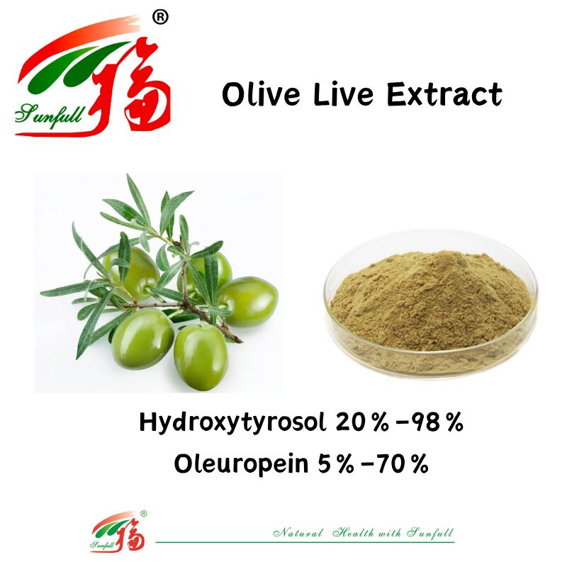 100% อาหารธรรมชาติ อาหารเสริมสุขภาพ ผสมจําหน่ายโรงงาน 80% Oleuropein / 5% ~ 20% Hydroxytyrosol สารสกัดจากใบมะกอก