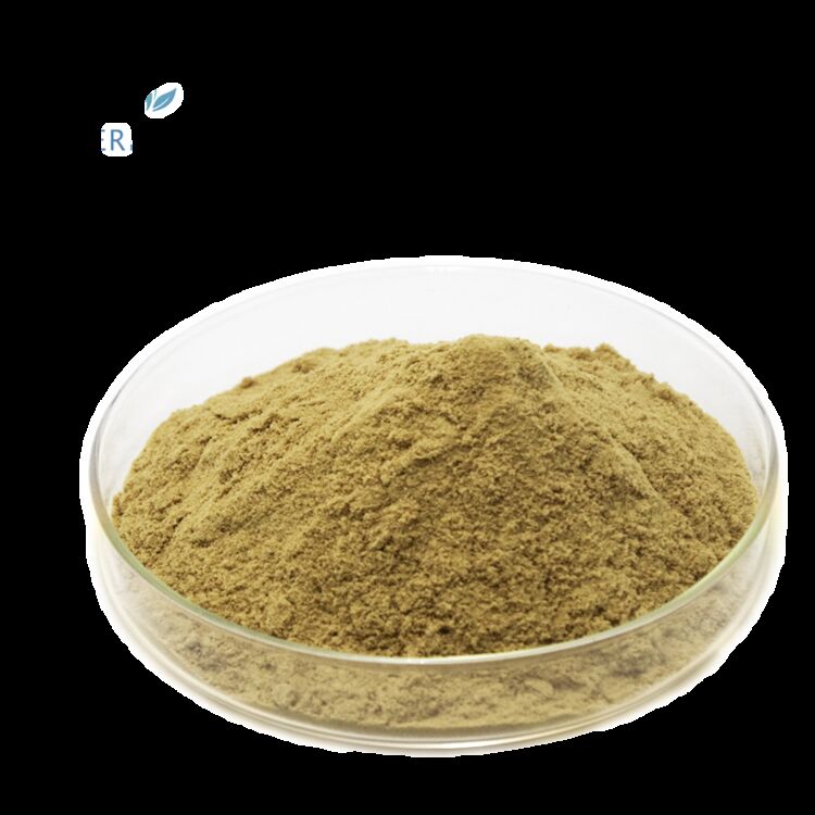 100% อาหารธรรมชาติ อาหารเสริมสุขภาพ ผสมจําหน่ายโรงงาน 80% Oleuropein / 5% ~ 20% Hydroxytyrosol สารสกัดจากใบมะกอก