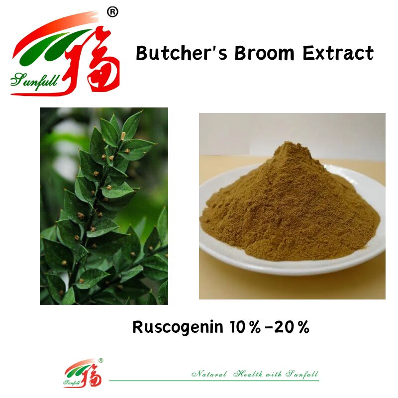 ราคาโรงงานคุณภาพดี สารสกัดราก Ruscus Aculeatus 10% - 20% Ruscogenin สารสกัดถ่านเนื้อ