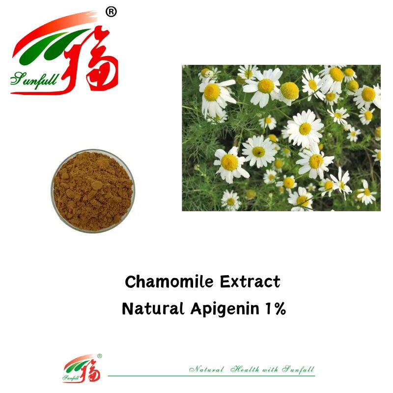 สารสกัดจากเมล็ดผักชีฝรั่งธรรมชาติ 100% ผง Apigenin 98% CAS 520-36-5 Apigenin คุณภาพสูง 1% สารสกัดจากดอกคาโมไมล์