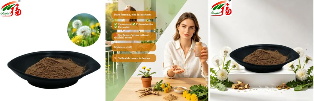 สินค้าอาหาร ดอนเดเลี่ยน สมุนไพร ดอนเดเลี่ยน ใบสกัด ขนาดผง ฟลาวโนอิดธรรมชาติ 5% - 10% สกัดดอนเดเลี่ยนอินทรีย์