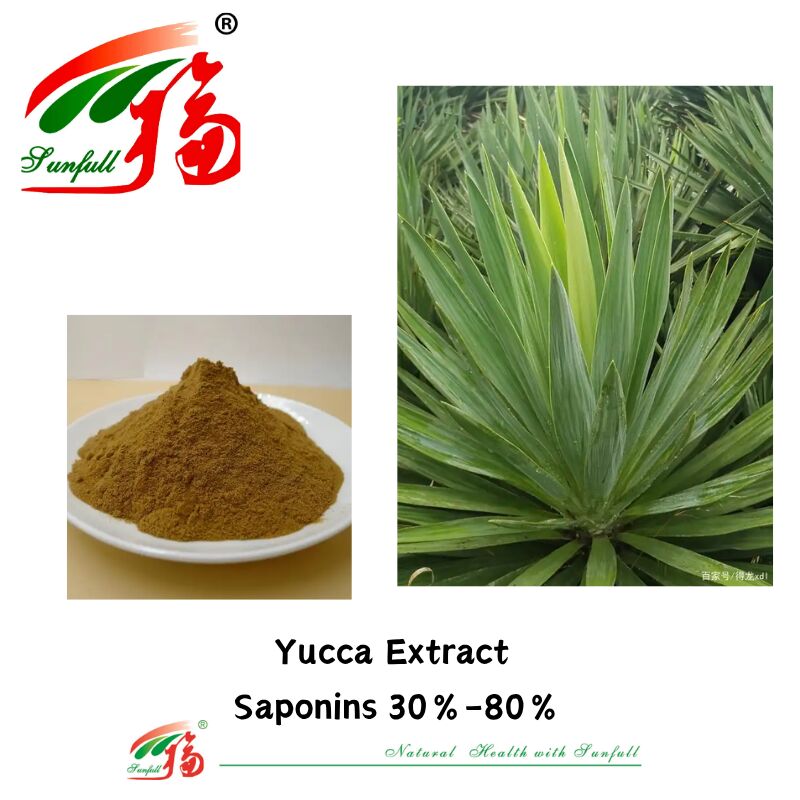 ISO/Kosher Deodorizer ส่งเสริมสุขภาพของลําไส้ สารสกัดอาหารสัตว์เลี้ยง 10%-80% ซาปอนีน สารสกัดยูค้า
