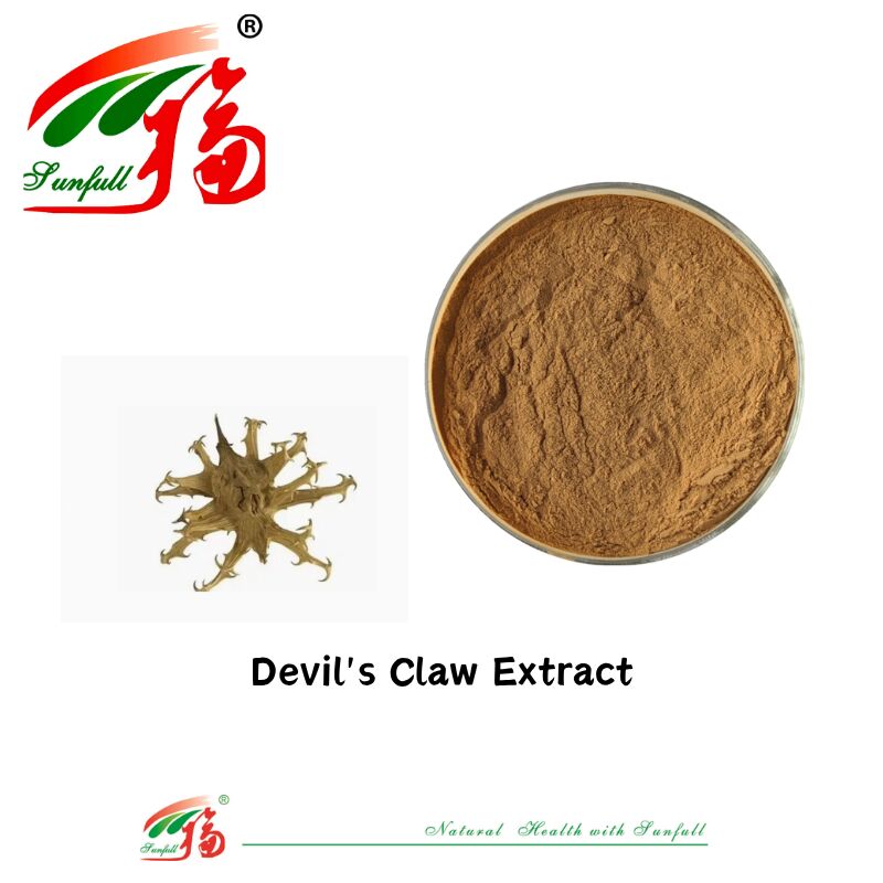 CAS 19210-12-9 สดธรรมชาติ Harpagophytum Procumbens ขนาดผง 5% Harpagoside Devils Claw สารสกัด