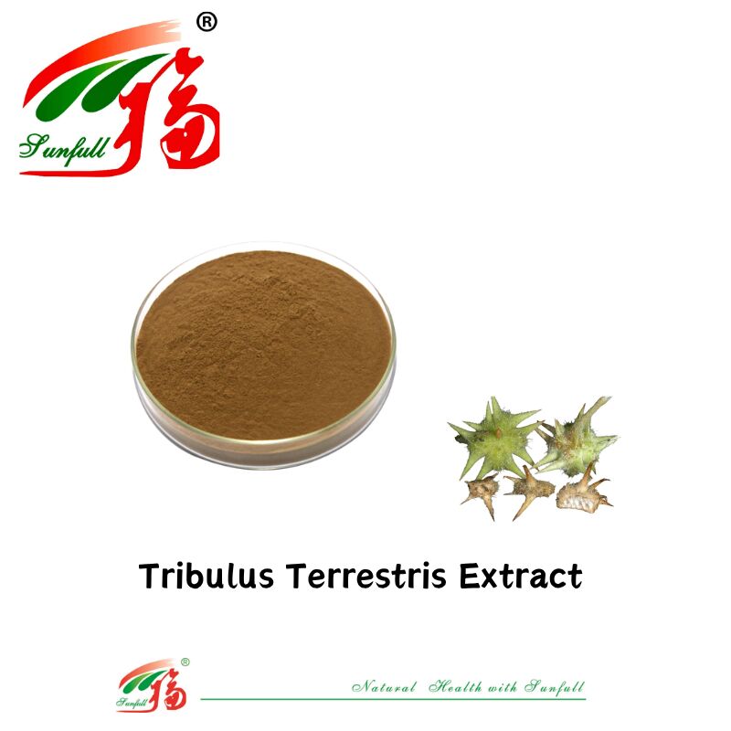 สาขาผลิตของจีน ขายร้อน ผู้ชายสุขภาพอาหารเกรด Tribulus สารสกัดตัวอย่างฟรี Tribulus Terrestris สารสกัดผง 40% - 90% Saponins