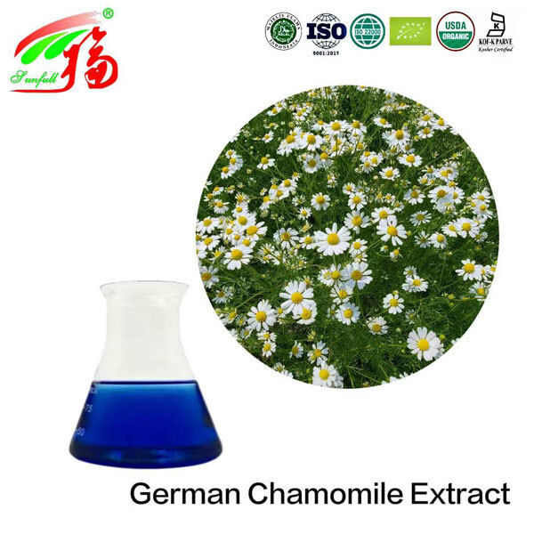 German Chamomile Extract Liquid Oil Cosmetic Ingredients Essential Oils Chamazulene Alpha-Bisabolol German Chamomile Oil